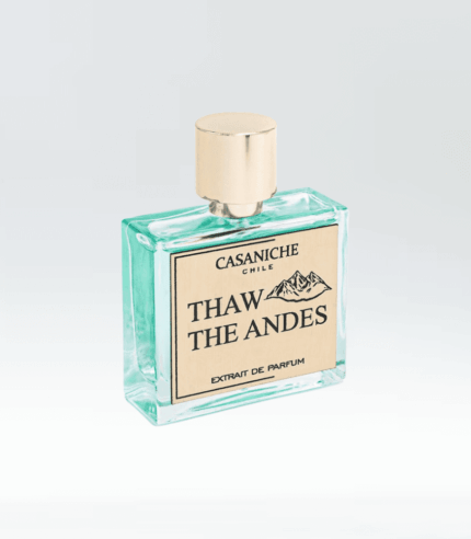 Thaw The Andes -  Casaniche