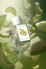 Melon Musk - Casaniche - Imagen 2